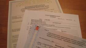 Что делать если утерян договор в Дефиле