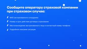 Что нужно для оформления страхового полиса в Дефиле