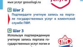 Что обозначает ПФР в Дефиле