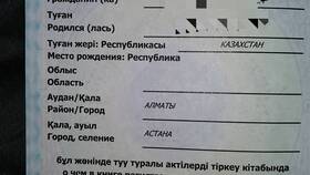 Как гражданину Казахстана получить СНИЛС в России