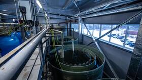 Как обосновать тариф на услуги в Дефиле