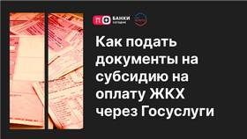 Как оформить гражданство ребенку через Госуслуги в Дефиле