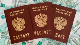 Как оплатить паспорт через Госуслуги в Дефиле