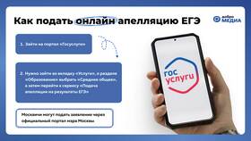 Как подать апелляцию на Госуслугах в Дефиле
