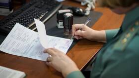 Как подать электронную таможенную декларацию в Дефиле