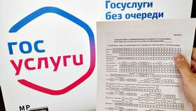 Как подать трудовой договор через Госуслуги