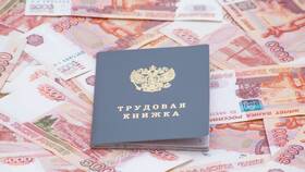 Как получить справку СТД-Р через Госуслуги в Дефиле