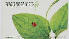 Как пополнить карту Подорожник в Дефиле