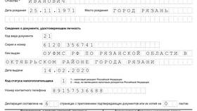 Как правильно заполнить налоговую декларацию в Дефиле