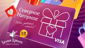 Как проверить номинал подарочной карты DNS в Дефиле