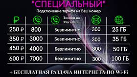 Как проверить остаток SMS на тарифе Мегафон в Дефиле