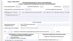 Как создать декларацию по УСН для ИП в Дефиле