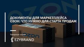 Как стать продавцом на Ozon в качестве ИП в Дефиле