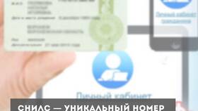 Как установить и использовать СНИЛС в Дефиле