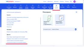 Как установить запрет на кредиты через Госуслуги в Дефиле