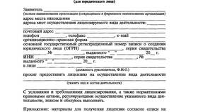 Как заполнить анкету юридического лица в Дефиле