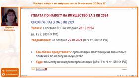 Почему могут отсутствовать налоги за 2024 год в Дефиле