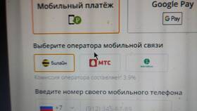 Почему не получается пополнить счет Tele2 в Дефиле
