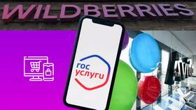 Почему Wildberries просит авторизацию через Госуслуги в Дефиле