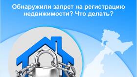 Запрет на регистрацию: что делать в Дефиле